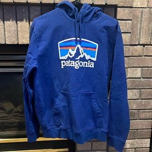 Mens Patagonia Hoodie